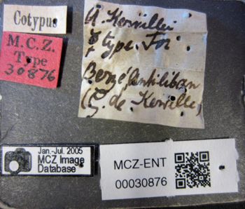 Media type: image;   Entomology 30876 Aspect: labels